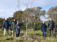 Commemorative Tree at Holton Lee NR